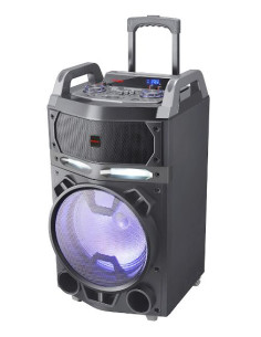 ALTAVOZ TROLLEY AIWA KBTUS700