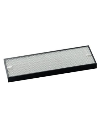 Filtro Purificador Rowenta XD6077F0  Allergy XL